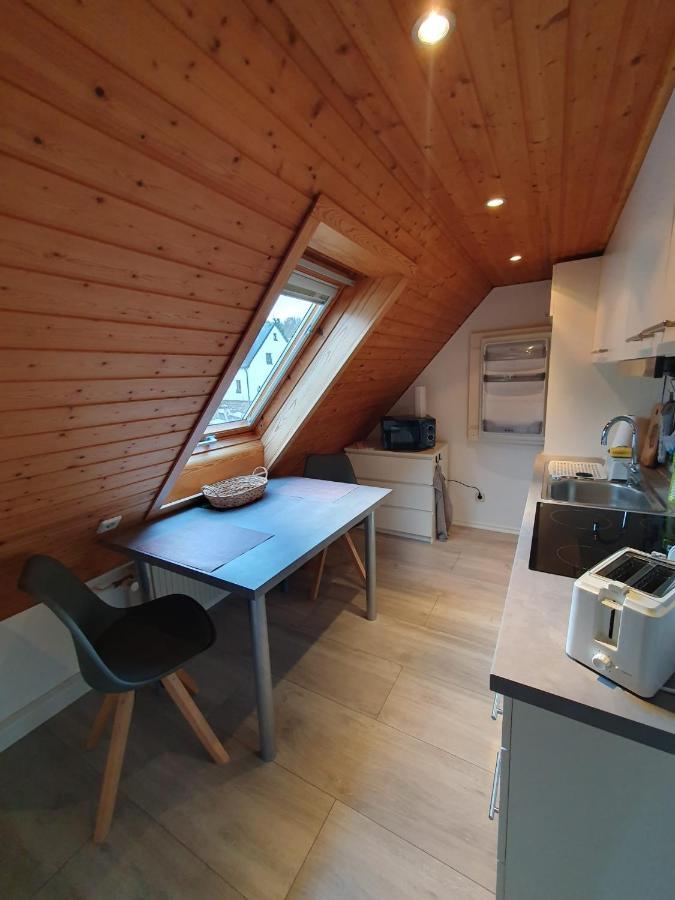 Ferienwohnung Haenel Antonshohe Exterior photo